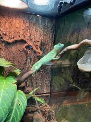 -酷嗒动物文化乐园(cutezoo西溪乐天城店)