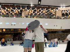 -TheRink大零溜冰场(IFS国金中心店)