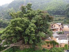 景点-杨家堂村