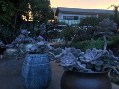 -悦哉·派对·草坪婚礼·围炉煮茶(三圣乡店)