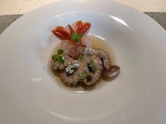 -觀芷隐轩