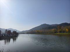 -千年银杏谷文化旅游区