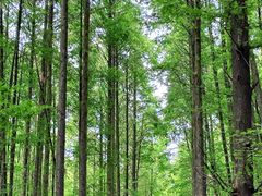 -山王坪喀斯特国家生态公园