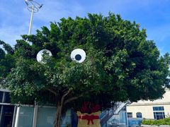 -巨鹏飞梦幻海岸