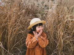 -眉山湿地公园(东坡区)