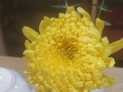 -佛有缘素食馆·荔湾老字号(陈家祠首店)