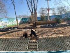 -秦皇岛野生动物园