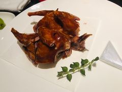 -甄御•海鲜新青岛菜(麦岛店)