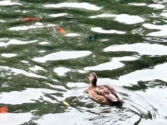 -水磨沟公园