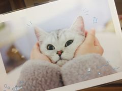 -猫的天空之城概念书店(杭州南宋御街店)