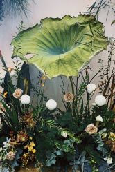 -南昌喜来登酒店·宴会厅