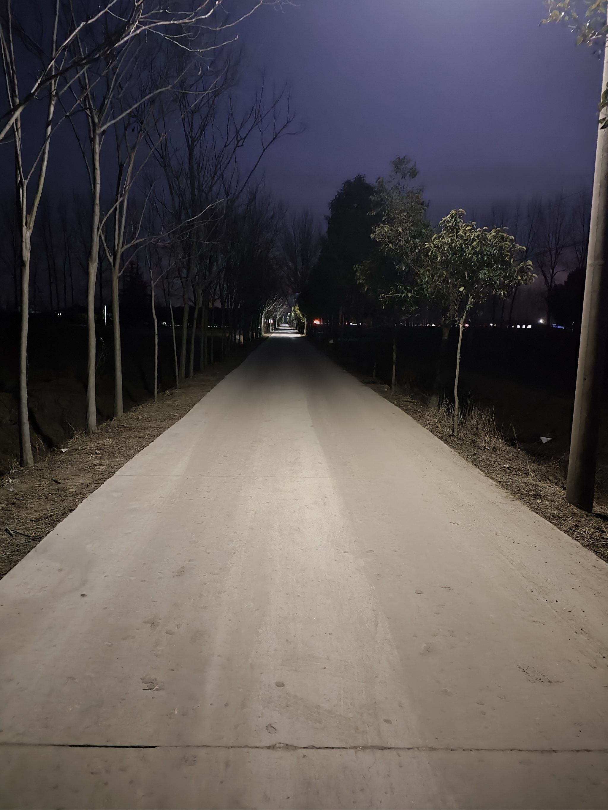 天天领红包夜晚走在乡村的小路上,真的是