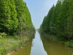 -黄海国家森林公园