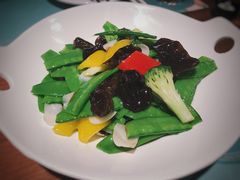 -大树餐厅(益田假日店)