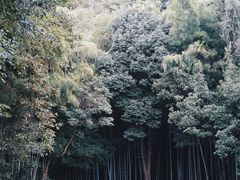 -敬亭山风景名胜区