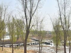 -马家湾湿地公园
