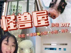 -怪兽屋·羊驼·猫咖·狗咖(俊华广场店)