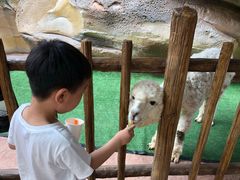 -杭州开元森泊度假乐园