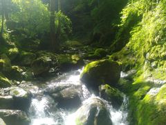 -牛背梁国家森林公园