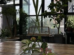 -北马山庄植趣咖啡