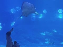 -福州罗源湾海洋世界旅游区