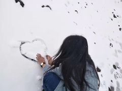 -大冬树山垭口