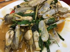 炒蛏子-长平老姿娘夜粥(平东一街店)