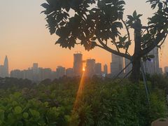 -棕榈泉国际高尔夫学院