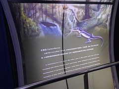 -房山世界地质公园博物馆