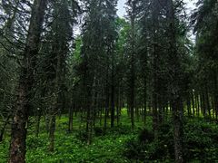 -硗碛藏寨·神木垒景区