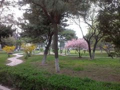 -辽宁大学(崇山校区)