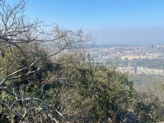-紫金山山顶公园