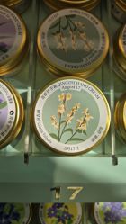 -青稚护手霜QINGZHI