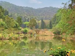 -深圳仙湖植物园