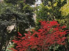 -龙湖·春森彼岸