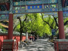 -北京国子监胡同