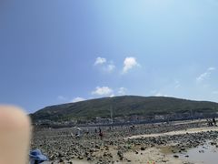 -长江澳风力发电景观区
