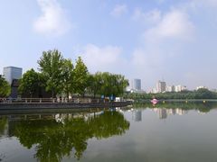 -莲花池公园