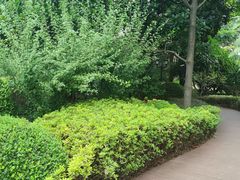 -上海虹桥迎宾馆