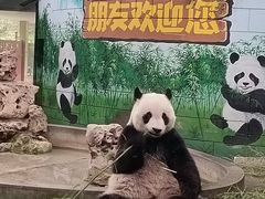 -必胜客(新中纬店)