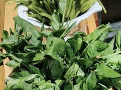 -野菌皇海景野生菌火锅(滨海大道店)