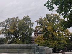 -北京石刻艺术博物馆(五塔寺)