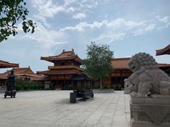 -三水森林公园