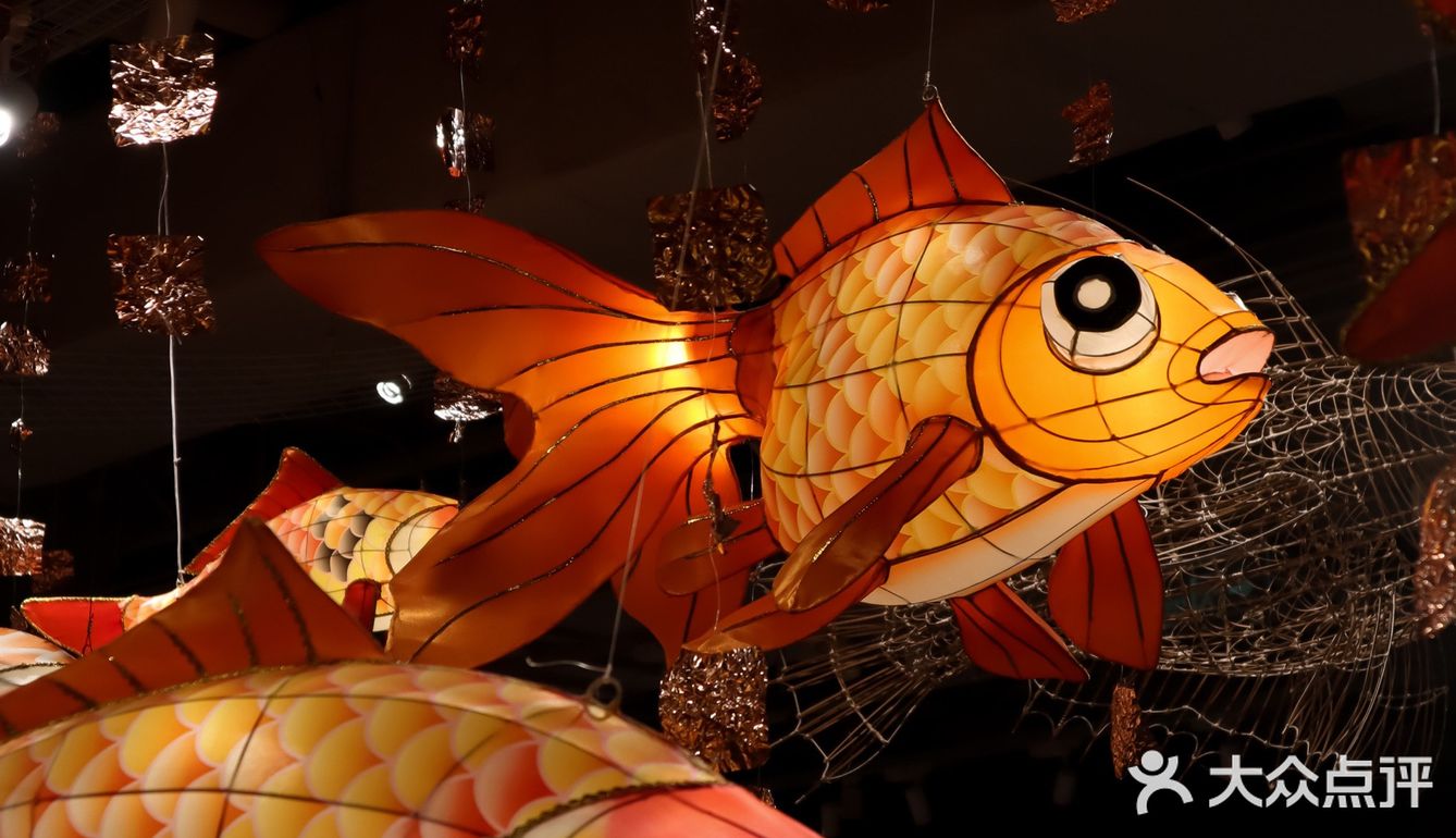 遇见天空中的锦鲤鱼龙舞方所非遗花灯展