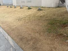 -苏州图书馆(人民路总馆)