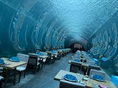 -海棠湾洲际-涛·海底餐厅·美人鱼·自助餐·海底隧道