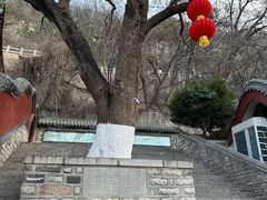 -千佛山风景名胜区