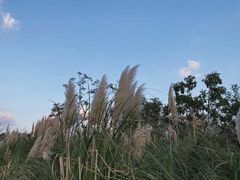 -上海山野camping·户外天幕烧烤·团建拓展营地
