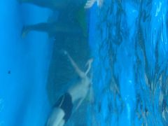 上海玛雅水公园-上海玛雅海滩水公园