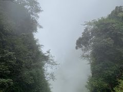 -峨眉山风景名胜区